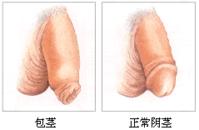 خưƤҽԺ