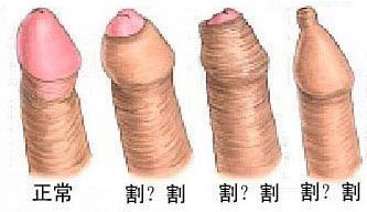 ݷخƤ