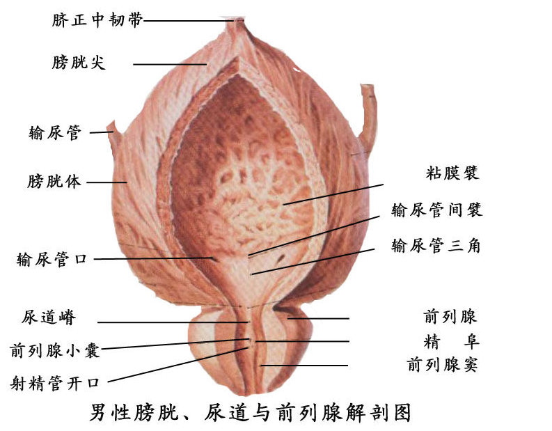 خǰҽԺļҿ?
