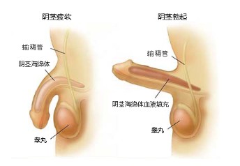 ɳ魺ҽԺ